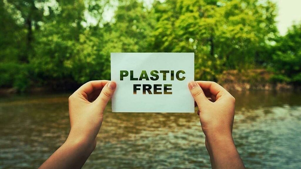 10 Essential Beginner Plastic Free Living Tips I Wish I Knew Earlier