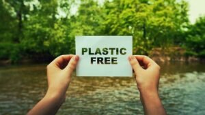 10 Essential Beginner Plastic Free Living Tips I Wish I Knew Earlier