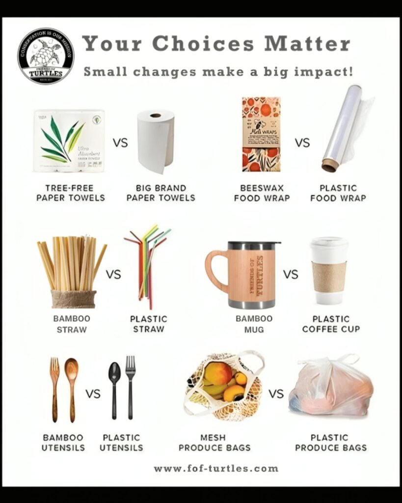 7 Proven Plastic-Free Living Steps for Total Beginners