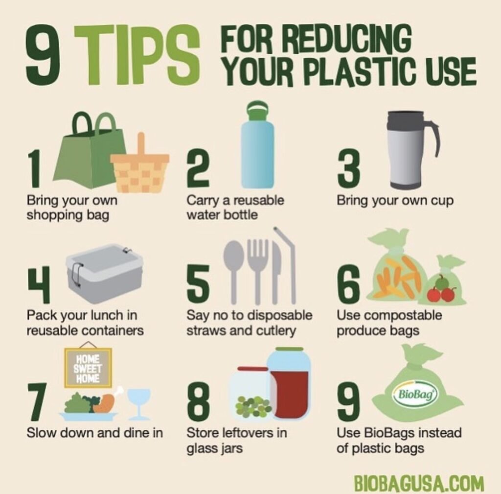 6 Fast Plastic-Free Living Fixes for School Days