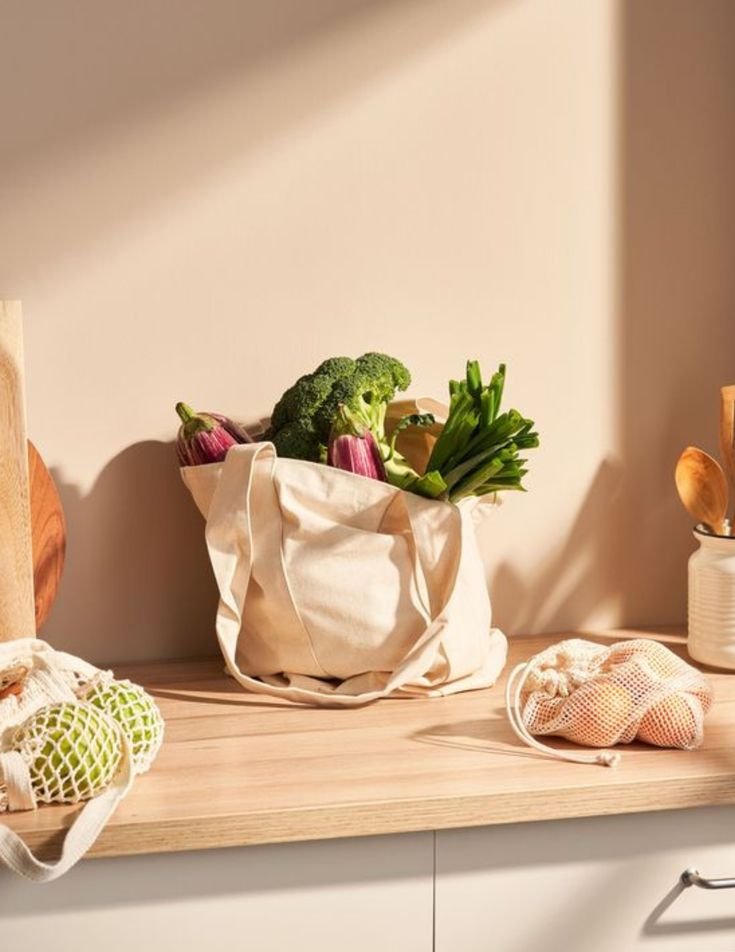 7 Ultimate Home Plastic Free Living Habits for Daily Life