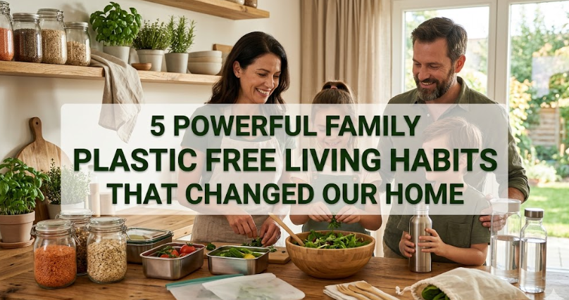 5 Powerful Family Plastic Free Living Habits That Changed Our Home