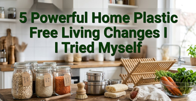 5 Powerful Home Plastic Free Living Changes I Tried Myself