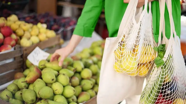 Plastic Free Living Picks the Bulk Stores Worth the Drive